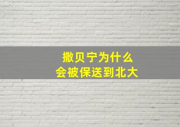 撒贝宁为什么会被保送到北大