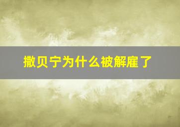 撒贝宁为什么被解雇了