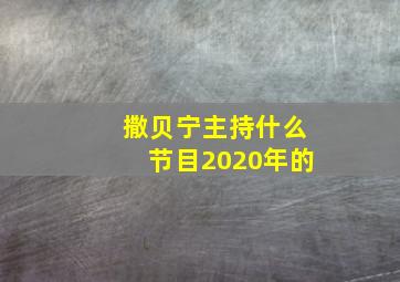 撒贝宁主持什么节目2020年的