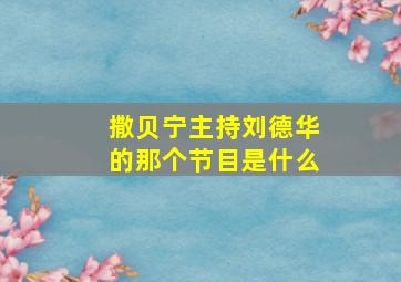 撒贝宁主持刘德华的那个节目是什么