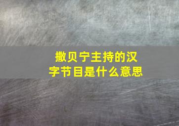 撒贝宁主持的汉字节目是什么意思