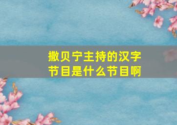 撒贝宁主持的汉字节目是什么节目啊