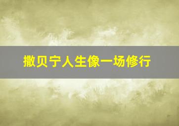 撒贝宁人生像一场修行