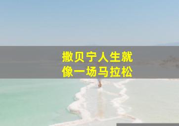 撒贝宁人生就像一场马拉松