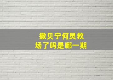 撒贝宁何炅救场了吗是哪一期