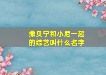 撒贝宁和小尼一起的综艺叫什么名字