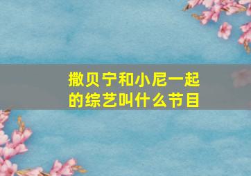 撒贝宁和小尼一起的综艺叫什么节目