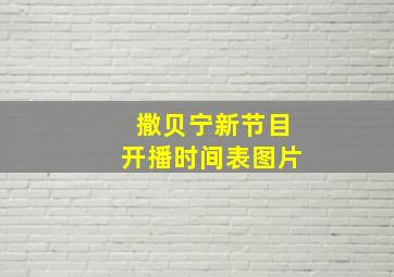 撒贝宁新节目开播时间表图片