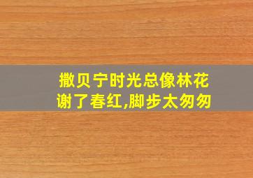 撒贝宁时光总像林花谢了春红,脚步太匆匆