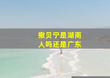 撒贝宁是湖南人吗还是广东