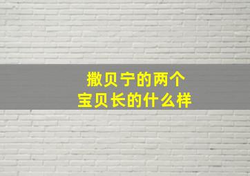 撒贝宁的两个宝贝长的什么样