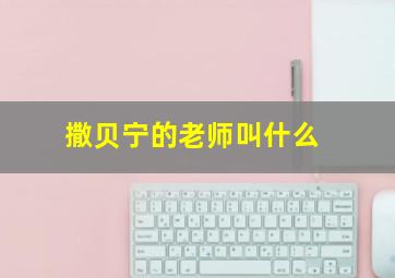 撒贝宁的老师叫什么