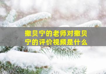 撒贝宁的老师对撒贝宁的评价视频是什么