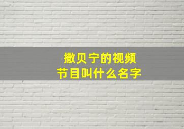 撒贝宁的视频节目叫什么名字