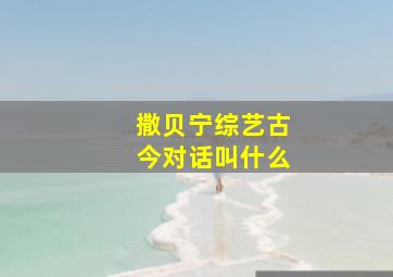 撒贝宁综艺古今对话叫什么