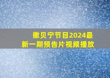 撒贝宁节目2024最新一期预告片视频播放