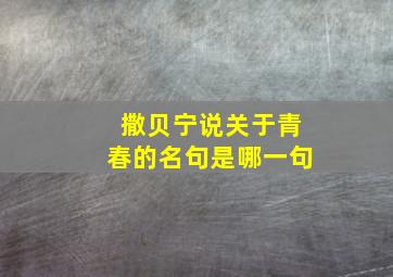 撒贝宁说关于青春的名句是哪一句