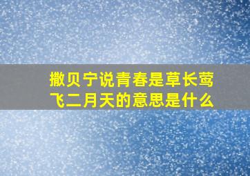 撒贝宁说青春是草长莺飞二月天的意思是什么