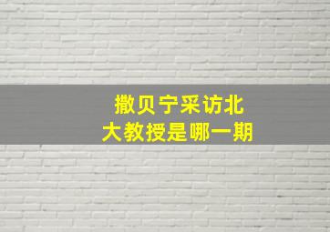 撒贝宁采访北大教授是哪一期