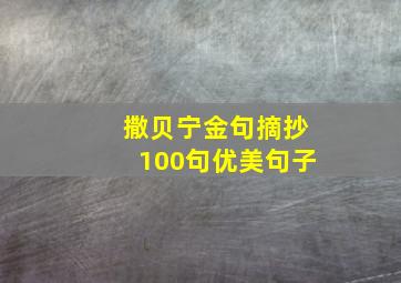 撒贝宁金句摘抄100句优美句子