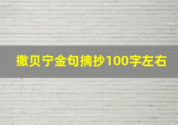 撒贝宁金句摘抄100字左右