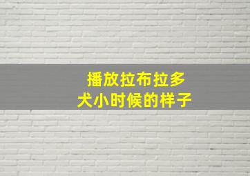 播放拉布拉多犬小时候的样子