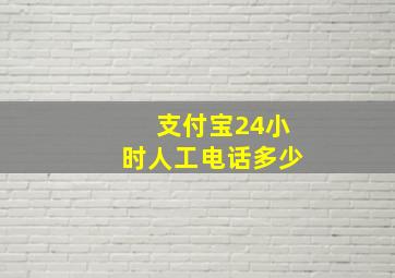 支付宝24小时人工电话多少