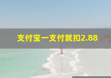 支付宝一支付就扣2.88