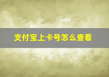 支付宝上卡号怎么查看