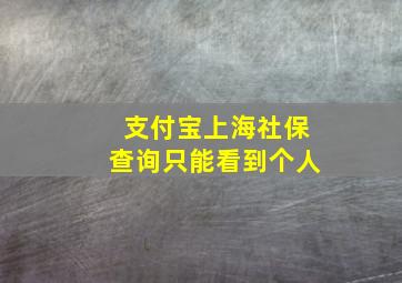 支付宝上海社保查询只能看到个人