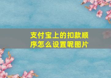 支付宝上的扣款顺序怎么设置呢图片