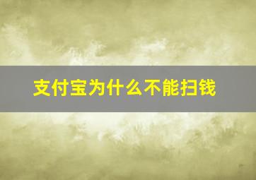 支付宝为什么不能扫钱