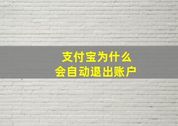 支付宝为什么会自动退出账户