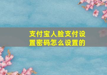 支付宝人脸支付设置密码怎么设置的