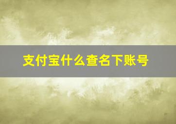 支付宝什么查名下账号