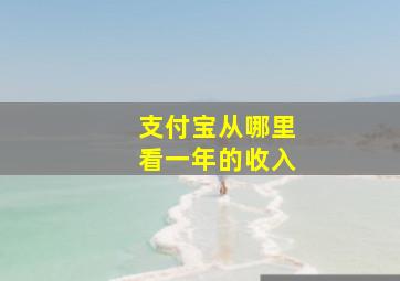 支付宝从哪里看一年的收入