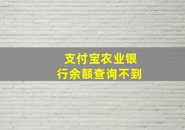 支付宝农业银行余额查询不到