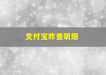 支付宝咋查明细