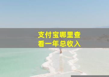 支付宝哪里查看一年总收入