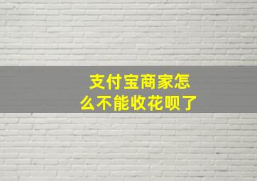 支付宝商家怎么不能收花呗了