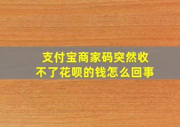 支付宝商家码突然收不了花呗的钱怎么回事