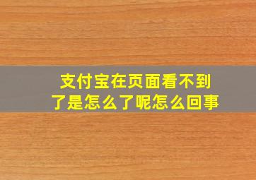 支付宝在页面看不到了是怎么了呢怎么回事