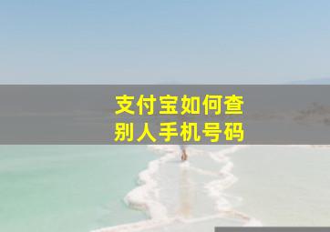 支付宝如何查别人手机号码