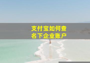 支付宝如何查名下企业账户