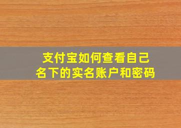 支付宝如何查看自己名下的实名账户和密码