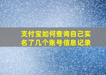 支付宝如何查询自己实名了几个账号信息记录