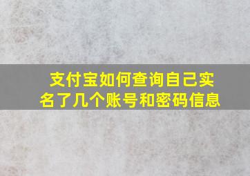 支付宝如何查询自己实名了几个账号和密码信息