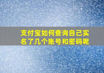 支付宝如何查询自己实名了几个账号和密码呢