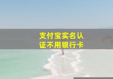 支付宝实名认证不用银行卡