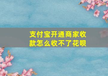 支付宝开通商家收款怎么收不了花呗